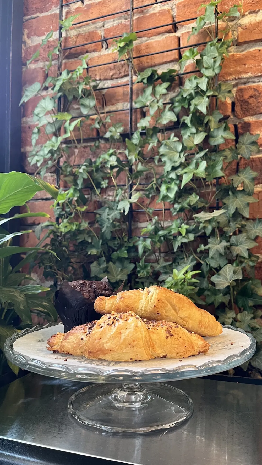 Croissante pe un platou de sticlă, lângă peretele cu iederă